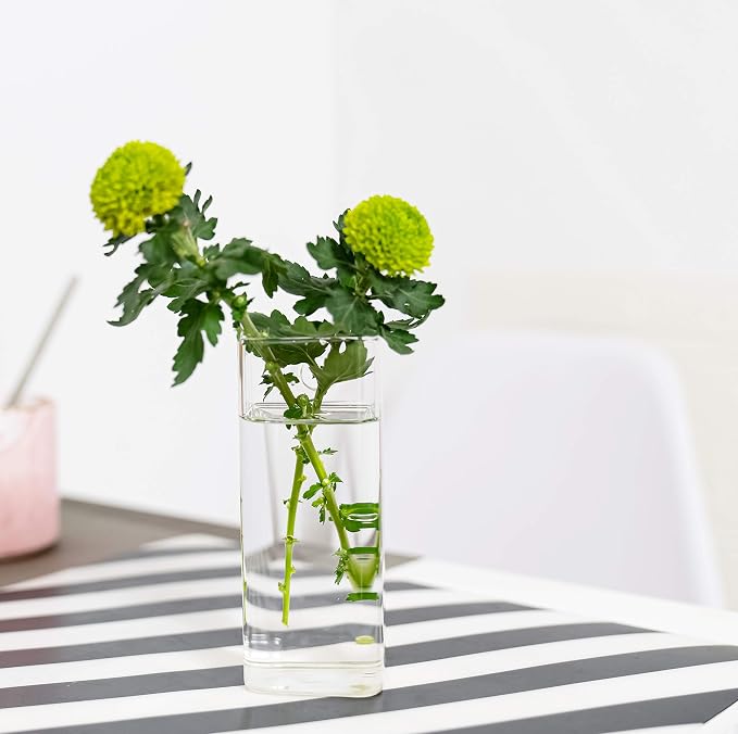 Square Glass Propagation Vase 4 Pack, Wall Hanging Hydroponic Planter | - Image 3