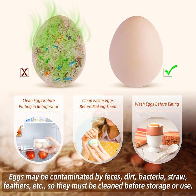 Egg Washer for Fresh Eggs, Egg Scrubber for Fresh Eggs, Egg Brush for Cleaning - Image 3