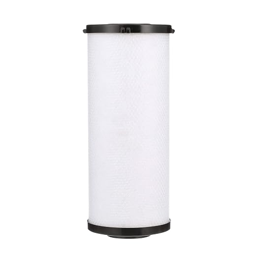 Watts Premier 1-Pack Radial Flow Carbon Block 20-Micron Cartridge, 000 by WattsPremier