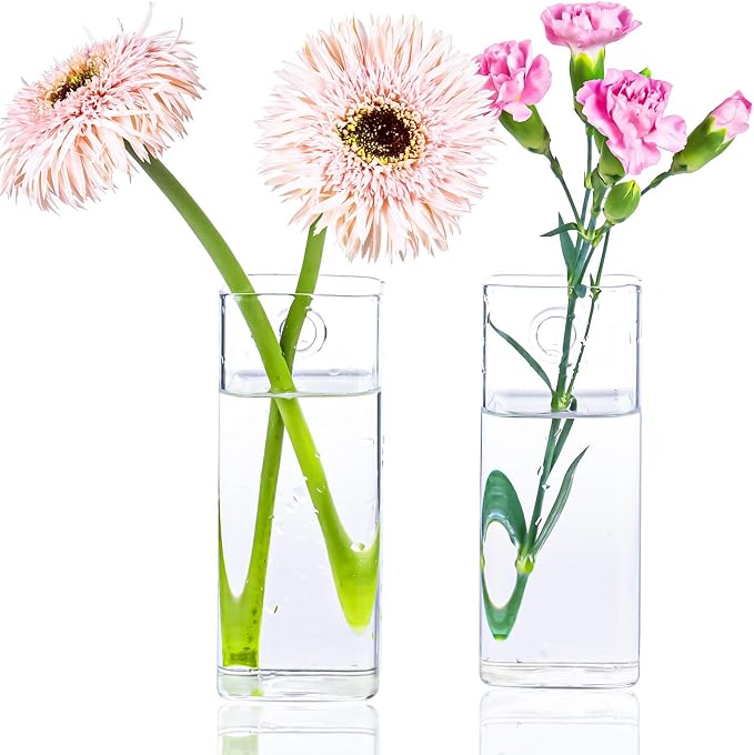Square Glass Propagation Vase 4 Pack, Wall Hanging Hydroponic Planter | - Image 2