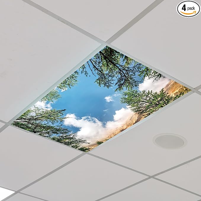 Outus Fluorescent Light Cover Classroom Lighting Cover by Outus