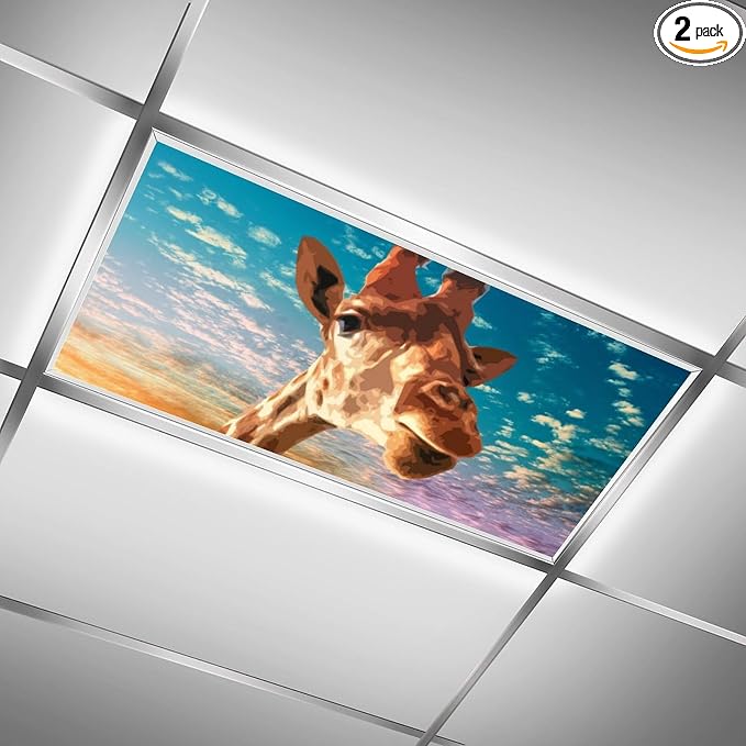 2PCS Fluorescent Light Covers for Classroom Ceiling Lights Magnetic Light Covers by RoseFace