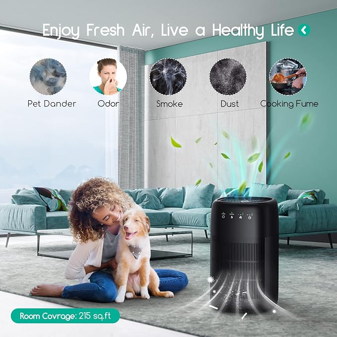 Afloia Air Purifier and Dehumidifier in 1, Air Purifier - Image 3
