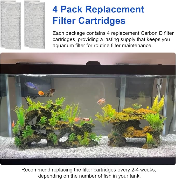 Filter D Cartridges Replacement - Image 7