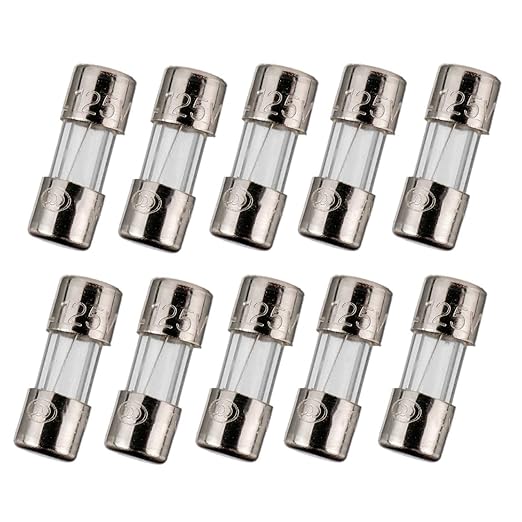 BOJACK Mini Fuse 3.6x10 mm 2.5 A 2.5 amp 125 V 125 Volt 0.14x0.39 Inch by BOJACK