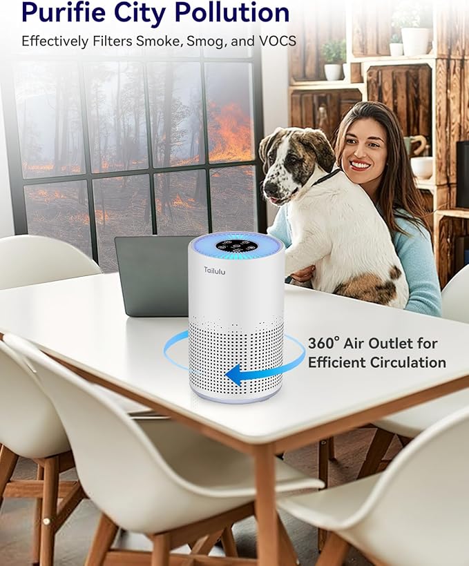 Air Purifiers for Bedroom Home Pets 1200 Ft², Tailulu H13 True HEPA Air Filter - Image 7