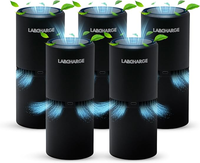 LabCharge Small Ionic Air Purifier by LabCharge