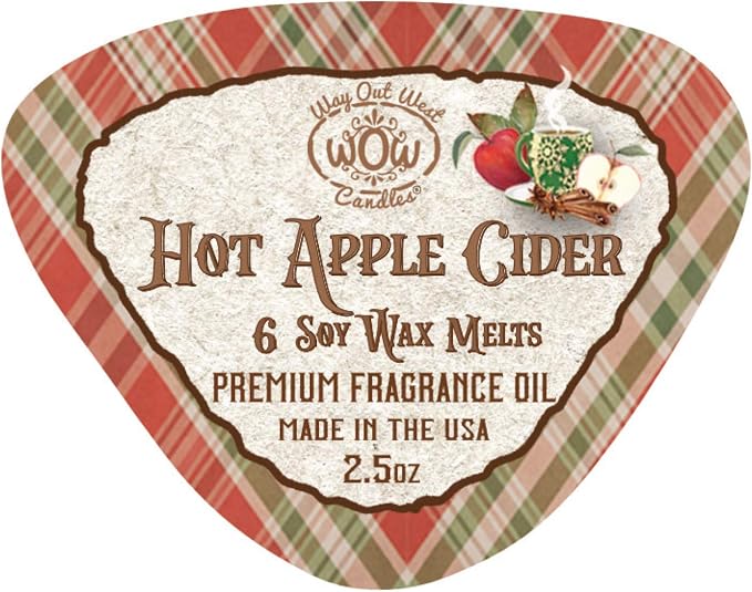 Soy Wax Melts Variety Pack of 4 – Winterberry Pine & Hot Apple Cider – Strongly - Image 2