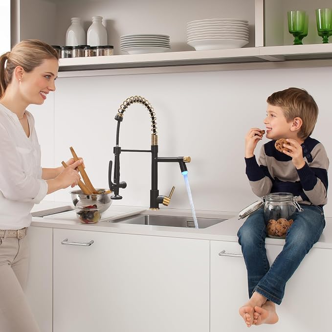 Fapully LED Kitchen Faucet - Image 3