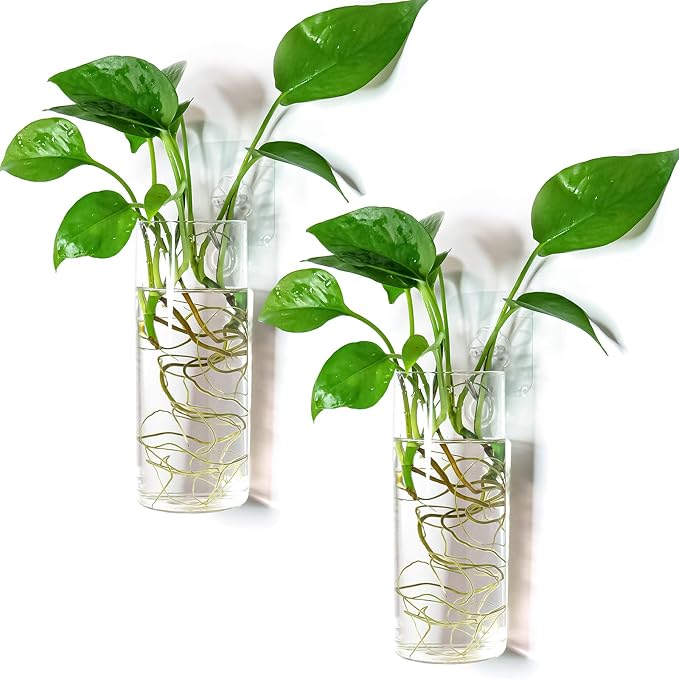 Kingbuy Short Cylinder Wall Planter 2 Pack, air plants, cuttings. Great gift by Kingbuy