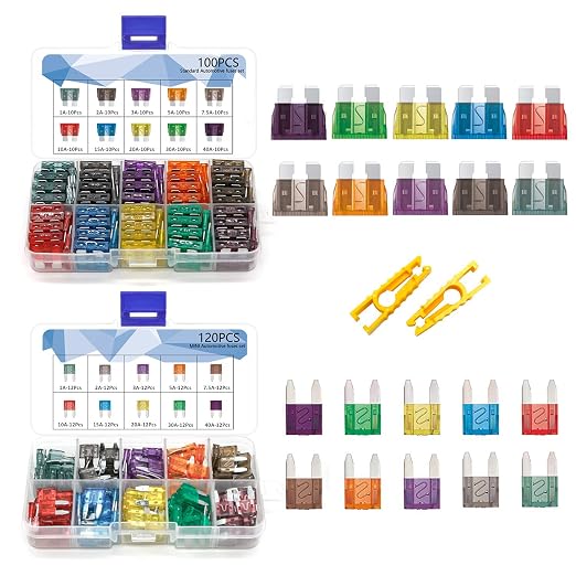 Vrupin 220Pcs-Car Fuses Assortment Kit, Blade-Type Automotive Fuses, Automotive by Vrupin