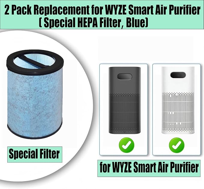 Special HEPA Filter Replacement - Image 2