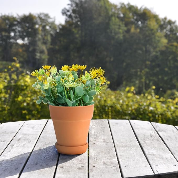 5pcs Red Clay Succulent Pots - Image 5