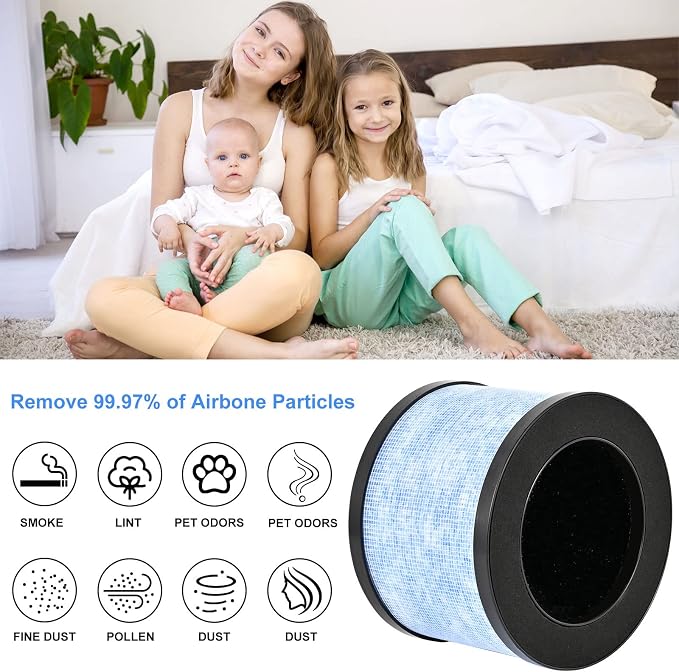 MK06 H13 True HEPA Filters Replacement - Image 5