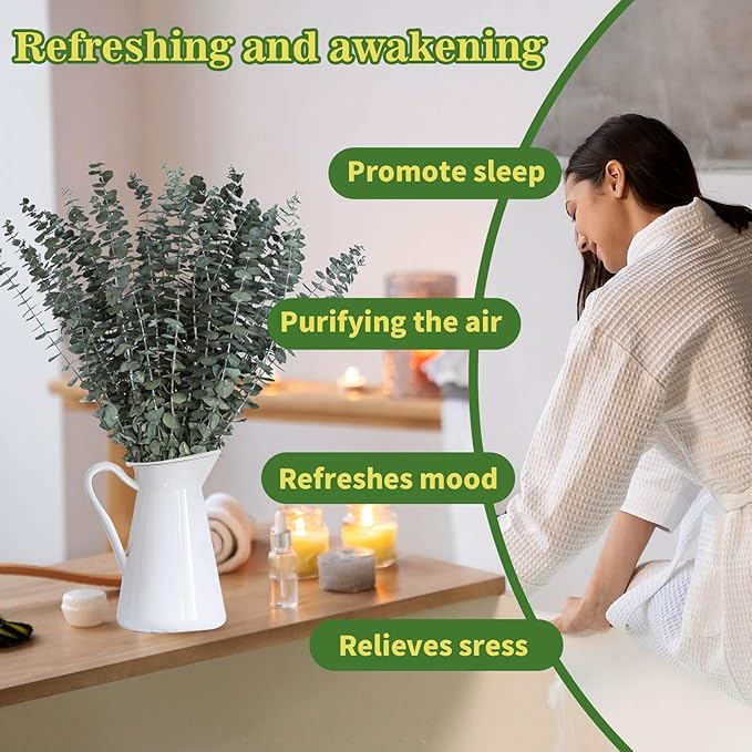 24 PCS Real Dried Eucalyptus Stems - Image 4