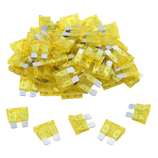 100 Pack Auto Fuses 20 AMP ATC/ATO Standard Regular Fuse Blade 20A Car Truck by JESUNK