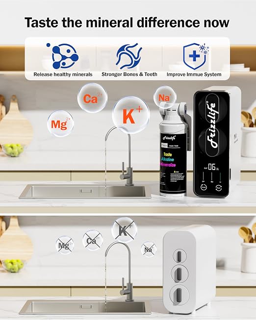 Frizzlife Reverse Osmosis Water Filter - Image 3