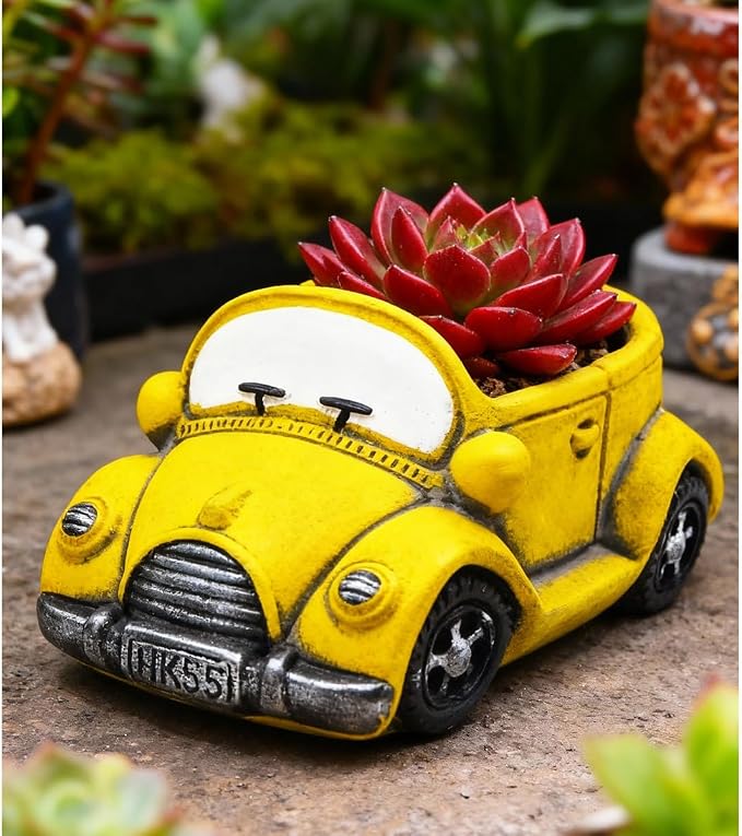 Cute Cacti & Succulent Plants Pot, Succulent Decor Planter Pot Indoor/Outdoor - Image 3