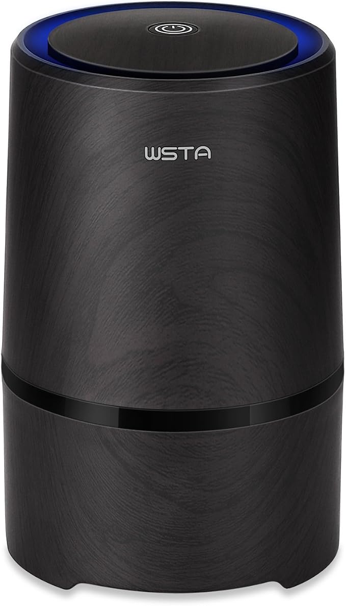 Portable Small Air Cleaner by WSTA