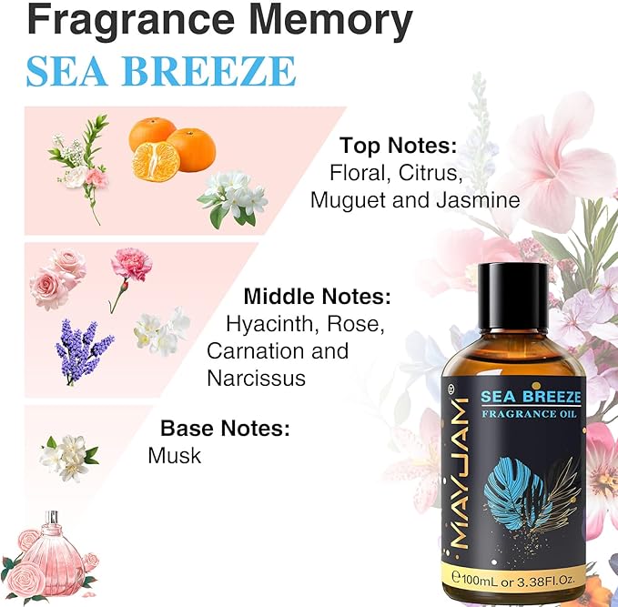 MAYJAM 100ML/3.38FL.OZ Sea Breeze Fragrance Oils with Glass Dropper, Essential Oils for Diffusers for Home, Long Lasting Scented Oils for Diffusers Soap Candle Making