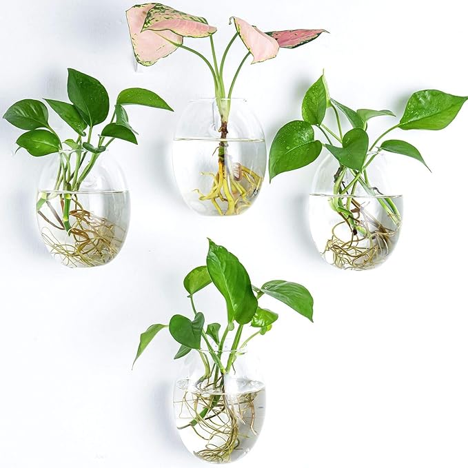 Kingbuy Egg Shaped for Propagating Hydroponic Plants 4 Pack Wall Planter | by Kingbuy