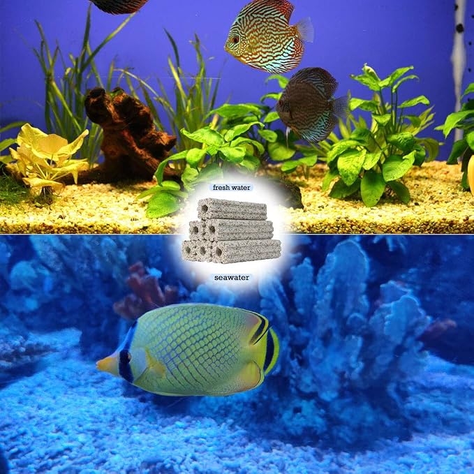 PINVNBY 20 Pcs 6.2-Inch Large Aquarium Filter Media Fish Tank Ceramic Media - Image 7