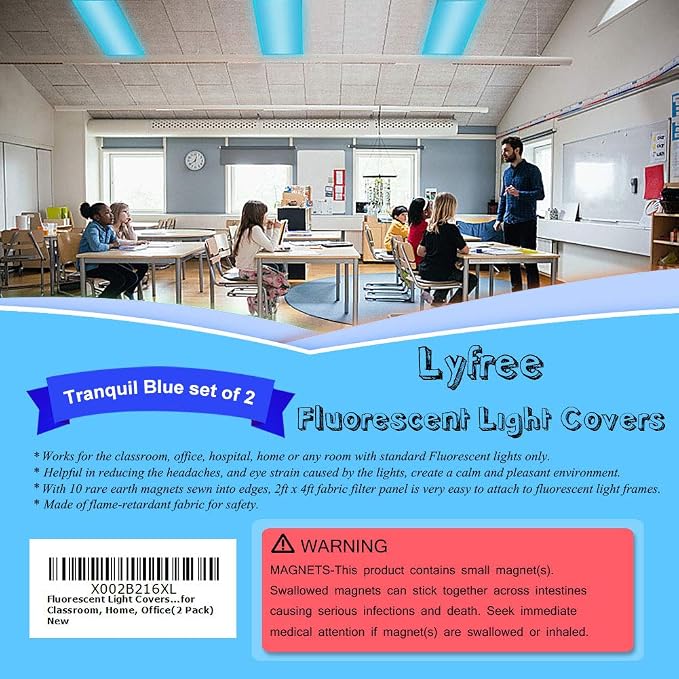 Fluorescent Light Covers, 4 x 2 Feet Covers - Image 2