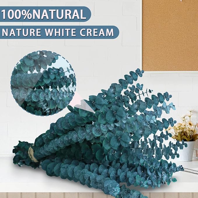 17 Pcs-Blue-Green-Dried-Preserved-Eucalyptus-Stems, Natural Live Eucalyptus - Image 4