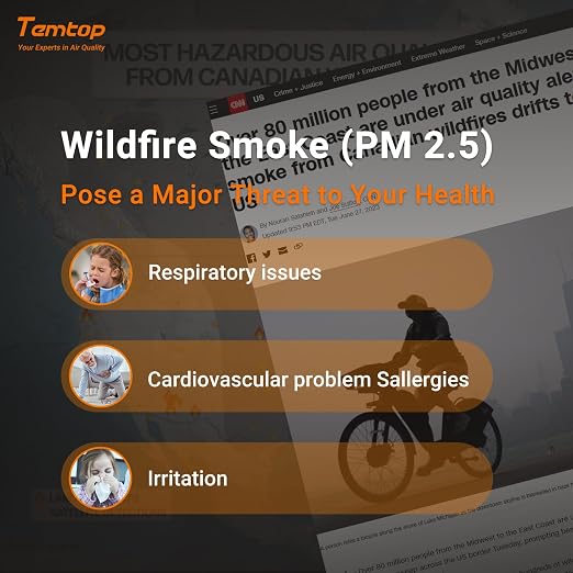 Temtop Air Quality Monitor PM2.5 PM10 Particle Counter, Formaldehyde, - Image 4