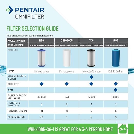 Pentair OMNIFilter Whole Home 10" Heavy-Duty Big Blue Water Filtration System - Image 5