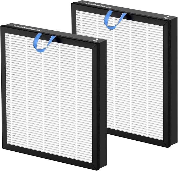 2 Pack Vital 100S Replacement Filter Compatible by JORAIR