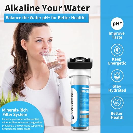 WINGSOL Under Sink Water Filter - Image 2
