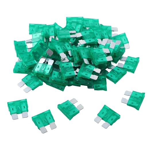 100 Pack Auto Fuses 30 AMP ATC/ATO Standard Regular Fuse Blade 30A Car Truck by JESUNK