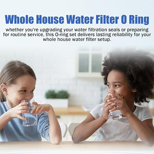 Whole House Water Filter O Ring 10"X4.5" - Image 7