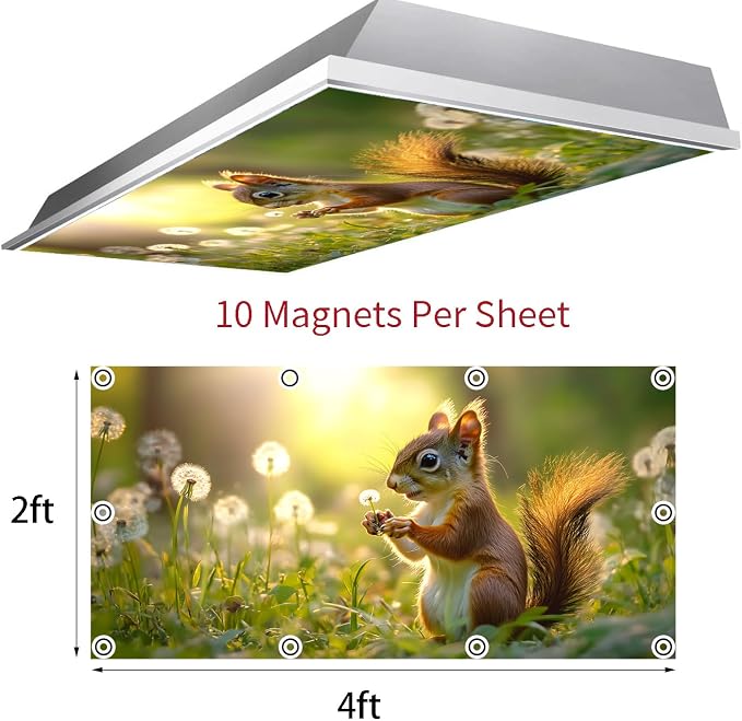 2 Pack Fluorescent Light Covers 4x2 ft Magnetic Light Covers - Image 3