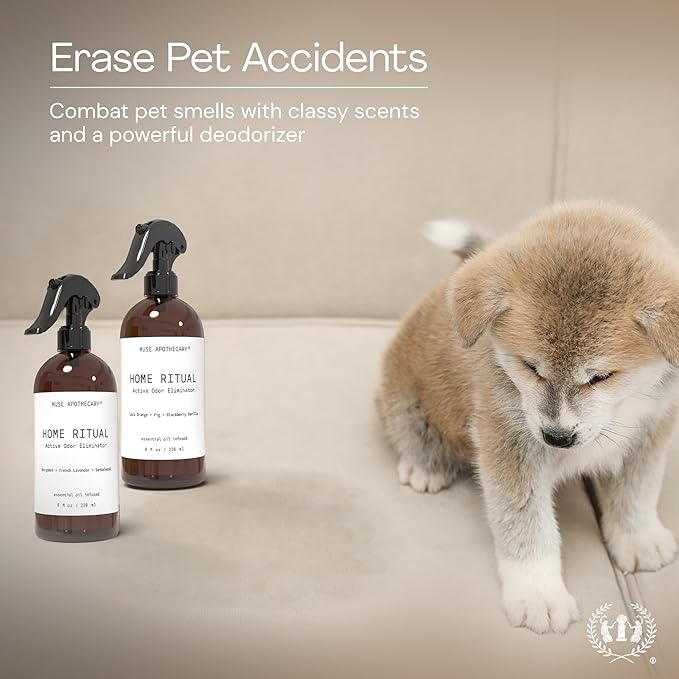 Muse Apothecary Home Ritual Active Odor Eliminator Spray - Furniture Deodorizer Spray & Bathroom Odor Eliminator for Home - Essential Oil Air Freshener - 4oz, Cara Orange + Fig + Blackberry Vanilla, 2