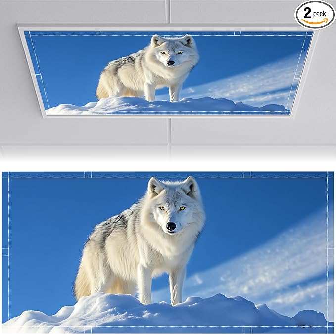 2 Pack Fluorescent Light Covers 4x2 ft Magnetic Light Covers by seewan