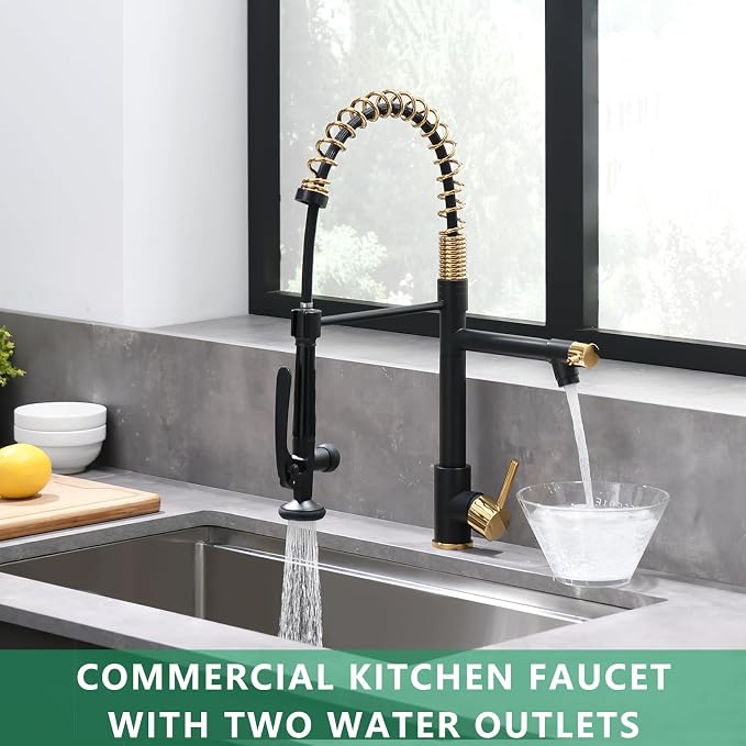 Fapully Black&Gold Kitchen Faucet - Image 3