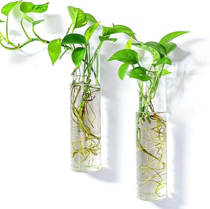 Kingbuy Wall-Mounted Plant Terrarium Propagation Station by Kingbuy
