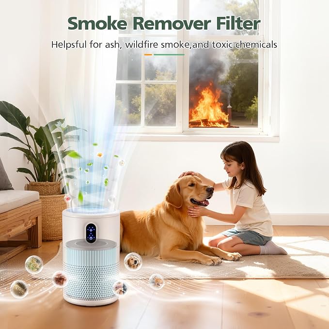 B-D02L/M05 Smoke Remover Replacement Filter, Compatible - Image 4