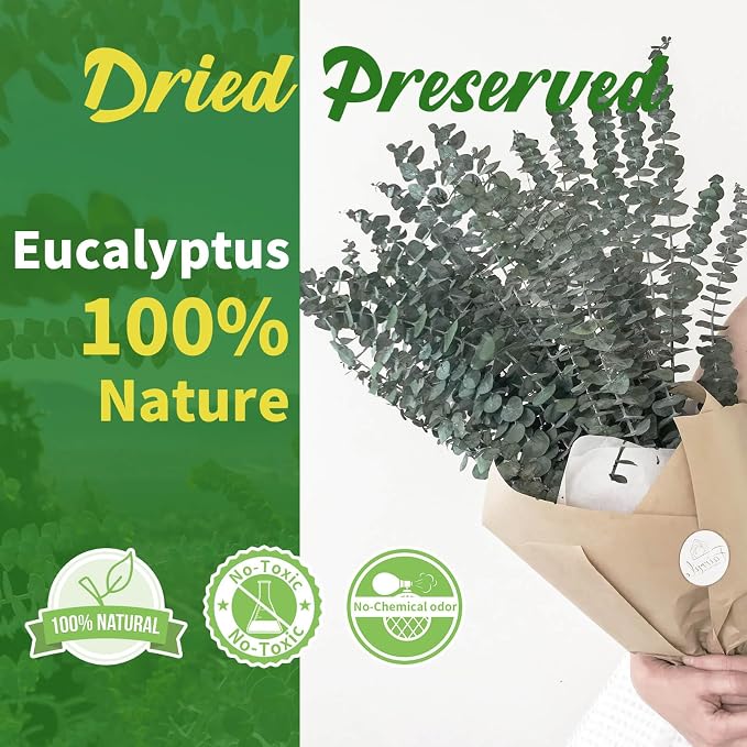 24 PCS Real Dried Eucalyptus Stems - Image 3