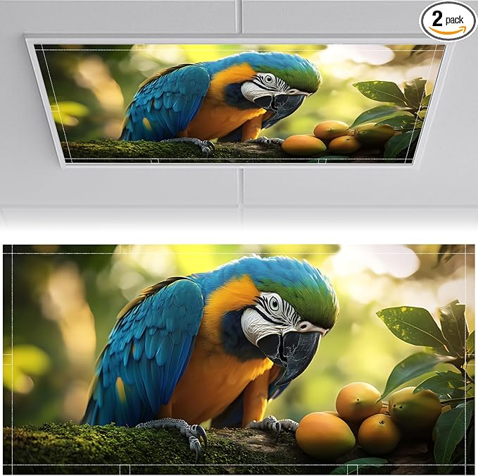 2 Pack Fluorescent Light Covers 4x2 ft Magnetic Light Covers by seewan