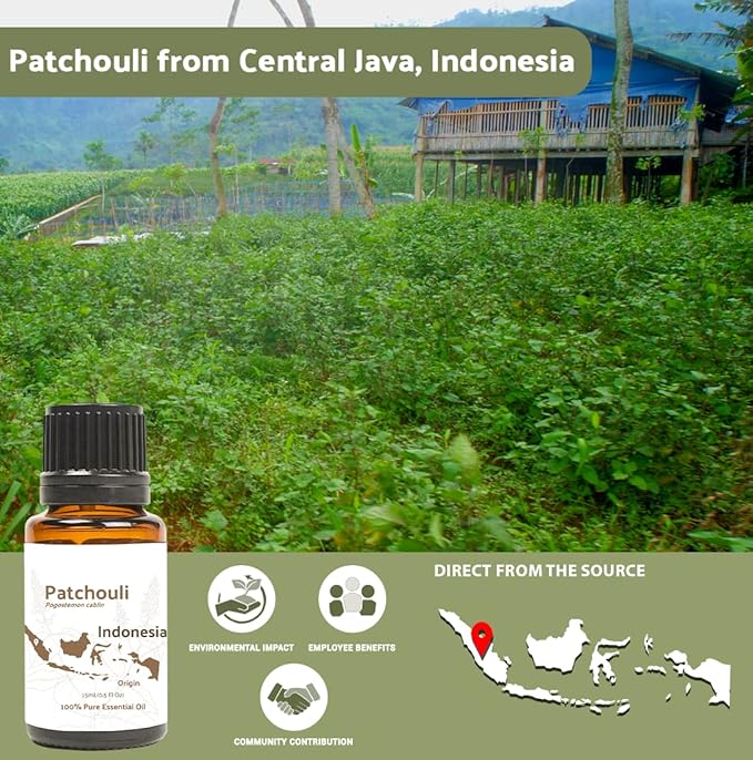Dark Patchouli Essential Oil - Direct from Java Indonesia Natural Repellent Aceite de Pachulí - Aromatherapy and Premium Therapeutic Grade - Ideal for Body & Candle-Making (22lbs)