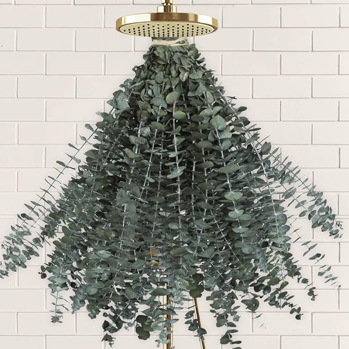 41 PCS Dried Preserved Eucalyptus Bundle by Oning