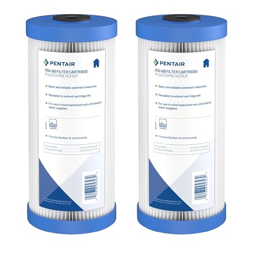 Pentair Pentek R50-BB Big Blue Sediment Water Filter, Whole House Pleated by PENTAIRPENTEK