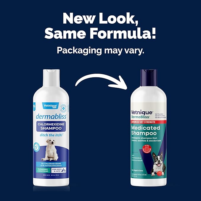 Vetnique Dermabliss Advanced Vet Strength Chlorhexidine for Dogs - Antibacterial Medicated Dog Shampoo - for Skin Infections & Irritation, Hot Spots & Redness Relief (Medicated Shampoo, 16oz)