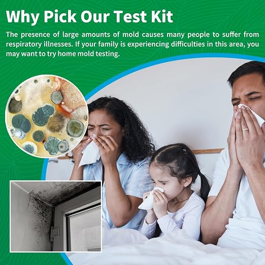Mold Test Kit for Home - Image 2