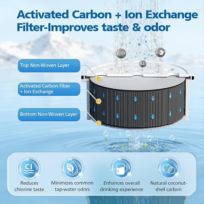 Water Pitcher Filter Replacement - Image 3
