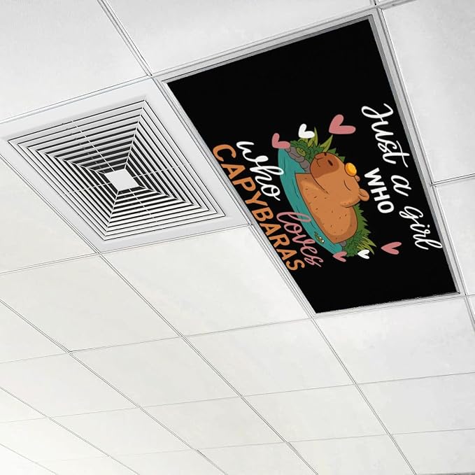 4 Pcs Fluorescent Light Covers for Ceiling Lights Cute Capybara Gifts Hearts - Image 6