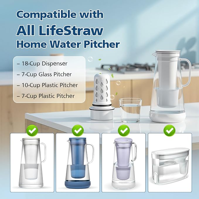 Water Pitcher Filter Replacement - Image 2